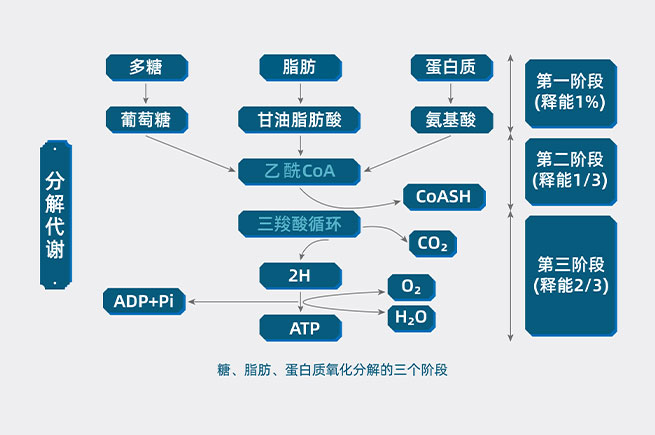 &#51;&#54;&#53;&#19978;&#24066;&#20844;&#21496;&#40;&#33521;&#22269;&#41;&#38598;&#22242;&#45;&#23448;&#26041;&#32593;&#31449;